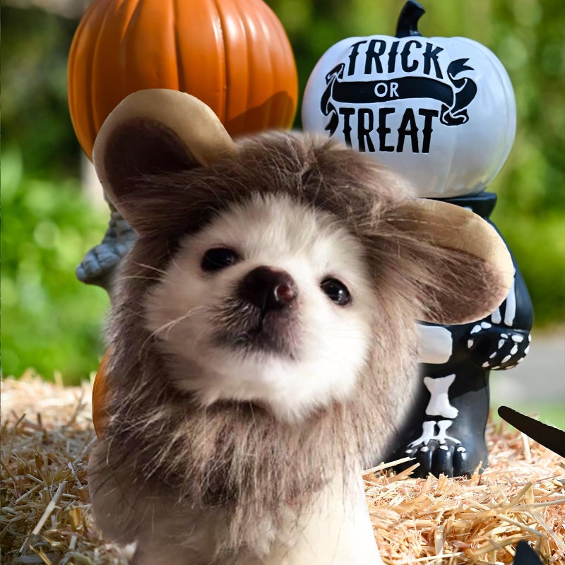 NAMSAN Lion Mane for Cat Small Dog, Halloween Cat Costume Lion Mane, Wig Lion King Hat Cosplay, Kitten Outfit for Halloween Holiday Party Activity - Image 2